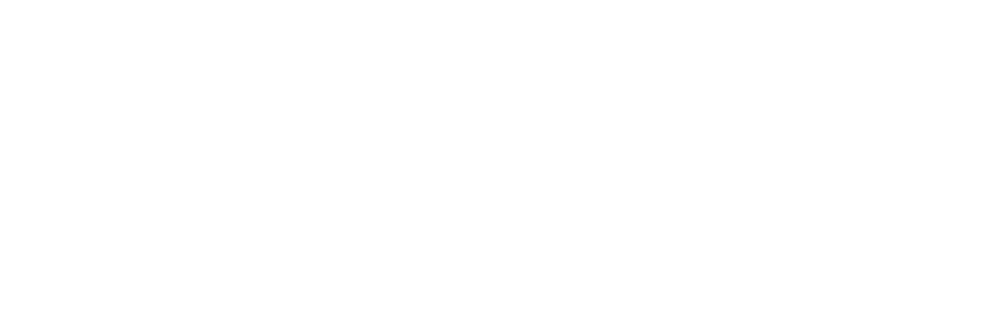 Logo weiss Logo weiss